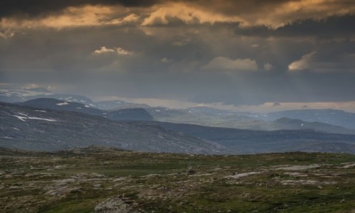 Zdjęcie NORWEGIA / płn. Norwegia / Saudavegen / Okolice Saudavegen