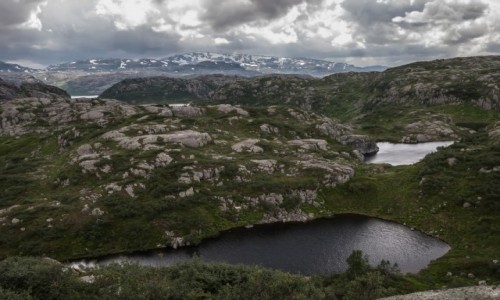 Zdjecie NORWEGIA / pn. Norwegia / paskowy / Na paskowyu Hardangarvidda