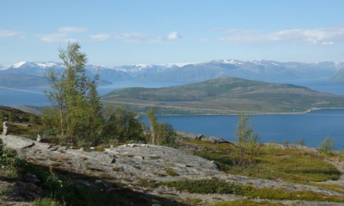 Zdjęcie NORWEGIA / Norwegia północna / między Altą , a Lofotami / Północne lato