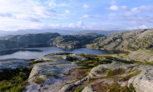 Zdjecie NORWEGIA / Rogaland / - / Into the wild