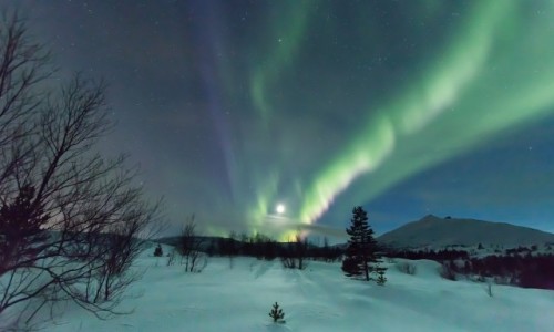 Zdjecie NORWEGIA / Nord Norge / Bodø / Zorza polarna