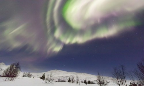 Zdjecie NORWEGIA / Nord Norge / Bodø / Zorza polarna