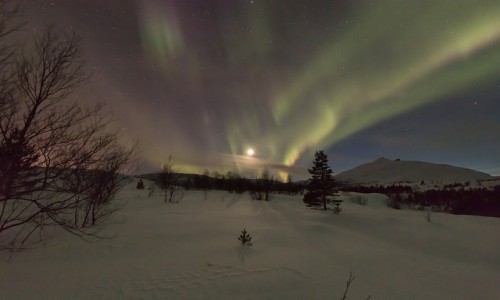 Zdjecie NORWEGIA / Nord Norge / Bodø / Zorza polarna