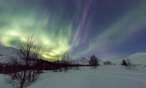 Zdjecie NORWEGIA / Nord Norge / Bodø / Zorza polarna