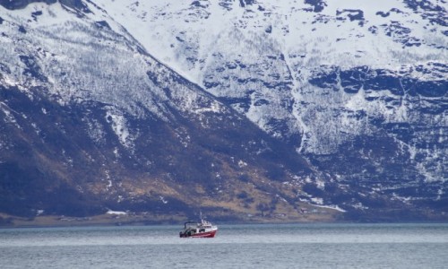 Zdjecie NORWEGIA / Troms / Lyngen Alpene / Statek
