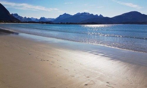 Zdjęcie NORWEGIA / Rmber / Moskensoya / Lofoty