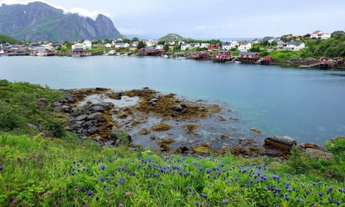 Zdjcie NORWEGIA / Lofoty / Reine / Trzy bkity