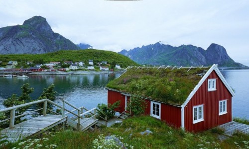 Zdjecie NORWEGIA / Lofoty / Reine / Domek