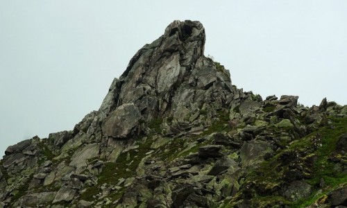 NORWEGIA / Lofoty / W drodze na Fløya / Frosken, czyli aba