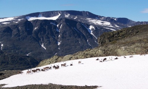 Zdjcie NORWEGIA / Jotunheimen / Bessegen / Besseggen 5
