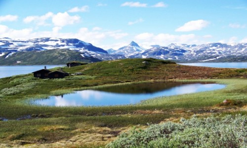 Zdjęcie NORWEGIA / Jotunheimen / Droga 252 / Nad jeziorem Tyin