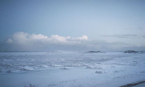 Zdjęcie NORWEGIA / Morza Barentsa / Okolica BERLEVAG /