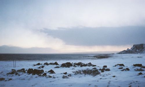 Zdjęcie NORWEGIA / Północ europy / Okolica Berlevag / MORZE BARENTSA