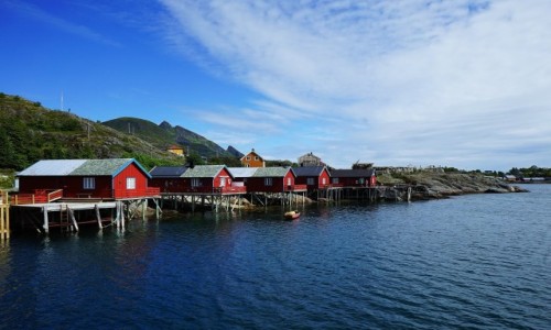 Zdjęcie NORWEGIA / Lofoty /  Wyspa Moskenesoy / W szeregu