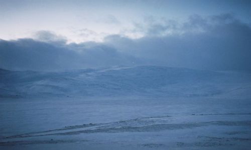 Zdjęcie NORWEGIA / Północ europy / Varanger Halvoya / ARKTYCZNY WIDOK