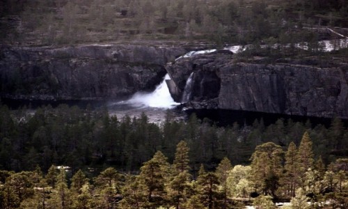 Zdjcie NORWEGIA / Nordland / Park Narodowy Rago / Rago
