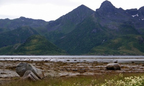 Zdjęcie NORWEGIA / Lofoty / Austvagoya / Lofockie plaże