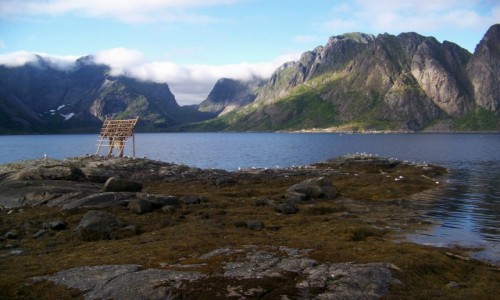 NORWEGIA / Lofoty / Reine / Reine
