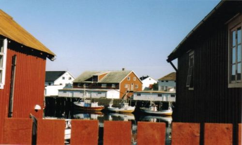 Zdjcie NORWEGIA / lofoty / henningsvaer / lofoty
