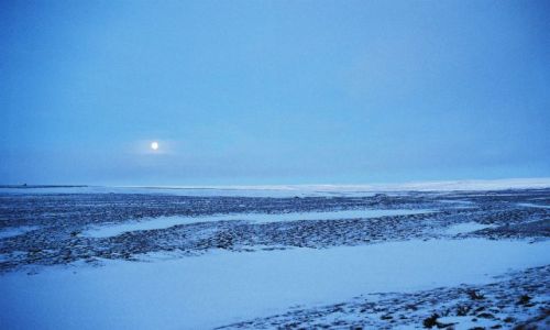 Zdjęcie NORWEGIA / WSCHODNI FINNMARK / WSCHODNI FINNMARK / POLARNE PUSTKOWIE