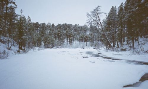 Zdjęcie NORWEGIA / FINNMARK VIDDA / FINNMARK VIDDA / ZIMOWY WIDOCZEK