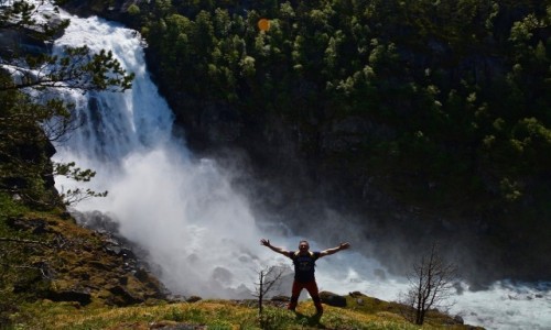 Zdjecie NORWEGIA / Hordaland / Kinsarvik / majwka...