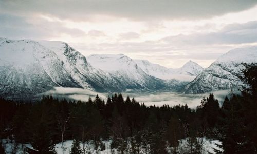 Zdjecie NORWEGIA / SRODKOWY ZACHD NORWEGI / SRODKOWY ZACHD NORWEGI / NORWESKI WIDOCZEK