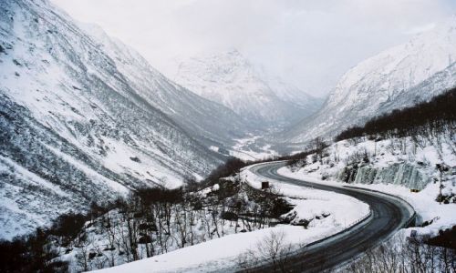 Zdjecie NORWEGIA / SRODKOWO-ZACHODNIA NORWEGIA / rejon: JOSTEDALSBRE / NORWESKI WIDOCZEK