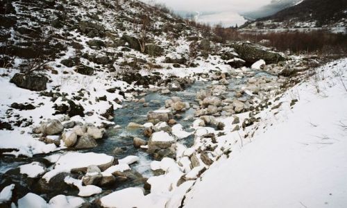 Zdjęcie NORWEGIA / POLUDNIOWY-ZACHOD OD TRONDHEIM / POLUDNIOWY-ZACHÓD OD TRONDHEIM / KAMIENISTY STRUMYK