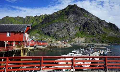 Zdjecie NORWEGIA / Lofoty / Å  / Wspomnienie lata