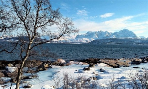 Zdjcie NORWEGIA / Troms / Oldervik / Brzzka
