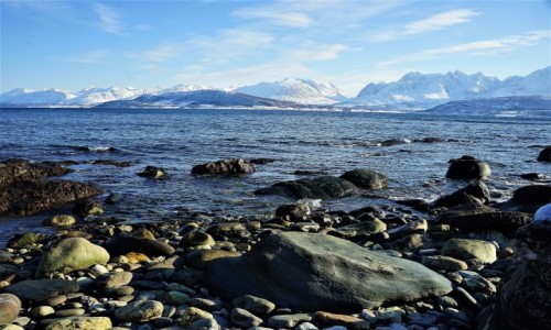 Zdjcie NORWEGIA / Troms / Oldervik / Kamienista plaa