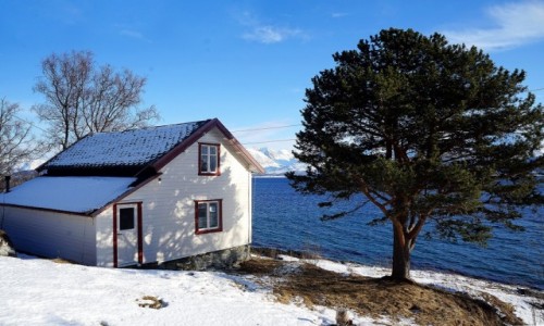 Zdjcie NORWEGIA / Troms / Oldervik / Nad fiordem