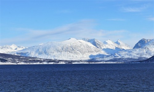 Zdjcie NORWEGIA / Troms / Oldervik / Bkity