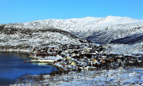 Zdjcie NORWEGIA / Troms / Ersfjordbotn / Na zboczu