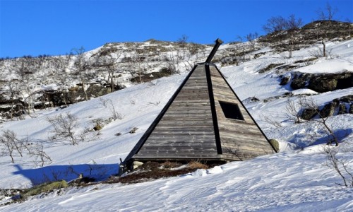 Zdjecie NORWEGIA / Troms / Ersfjordbotn / Miejscwka z wypasem