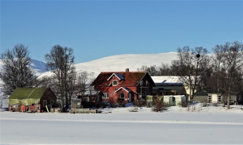 Zdjcie NORWEGIA / Troms / tromso / Zagroda