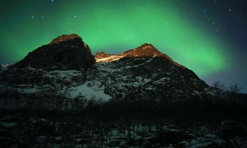 Zdjcie NORWEGIA / Troms / Kvaløyvågen / Za gr