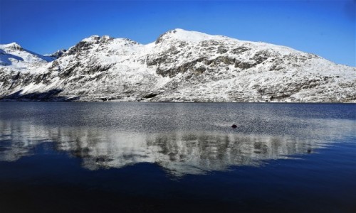 Zdjcie NORWEGIA / Troms / Ersfjordbotn / Odbicie