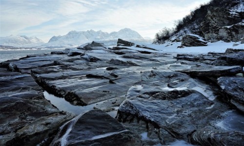 Zdjecie NORWEGIA / Troms / Oldervik / Kamienna plaa