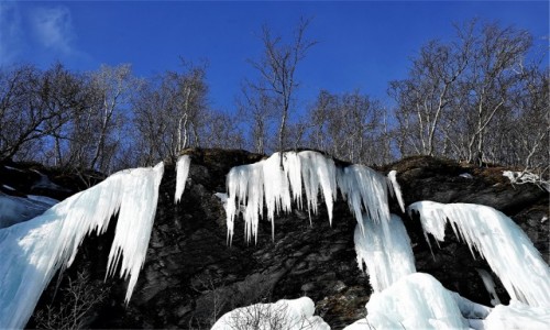 Zdjęcie NORWEGIA / Troms / Oldervik / Zima odchodząc szczerzy kły