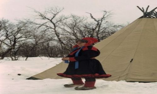 Zdjęcie NORWEGIA / Finnmark / okolice Karasjohka / oczekiwanie