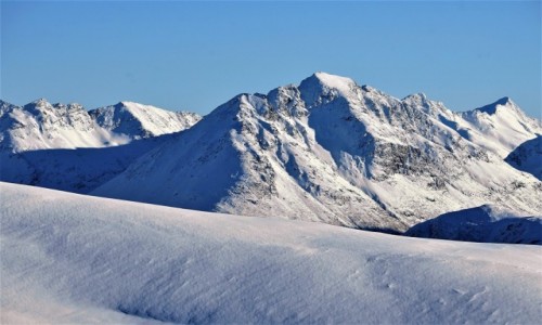 Zdjecie NORWEGIA / Troms / Tromsdalen  / Troch chodu