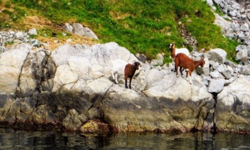 Zdjecie NORWEGIA / Norwegia poudniowo - zachodnia / Lysefjord / Lysefjord