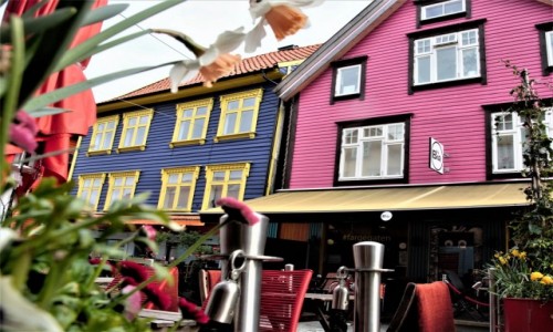Zdjcie NORWEGIA / Zachodnia Norwegia / Stavanger  / Kolorowo w dzie