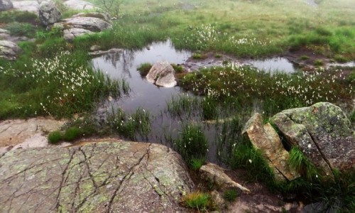 Zdjcie NORWEGIA / Norwegia poudniowo - zachodnia / Lysefjord / wycieczka na Preikestolen
