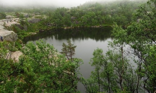 Zdjcie NORWEGIA / Norwegia poudniowo - zachodnia / Lysefjord / wycieczka na Preikestolen