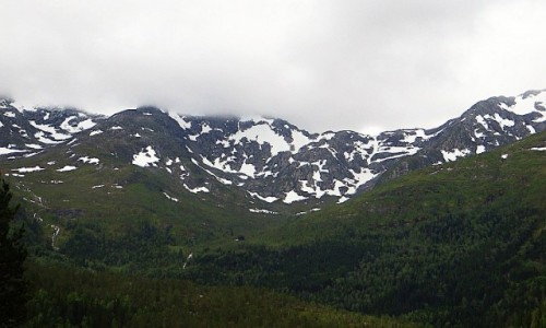 Zdjcie NORWEGIA / Norwegia poudniowo - zachodnia / trasa kolejowa Bergen - Myrdal / norweskie krajobrazy