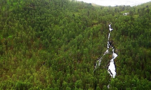 Zdjcie NORWEGIA / Norwegia poudniowo - zachodnia / trasa kolejowa Bergen - Myrdal / norweskie krajobrazy