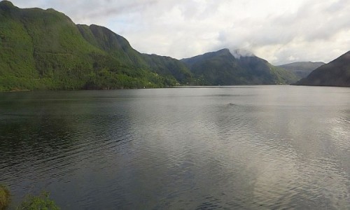 Zdjcie NORWEGIA / Norwegia poudniowo - zachodnia / trasa kolejowa Bergen - Myrdal / norweskie krajobrazy
